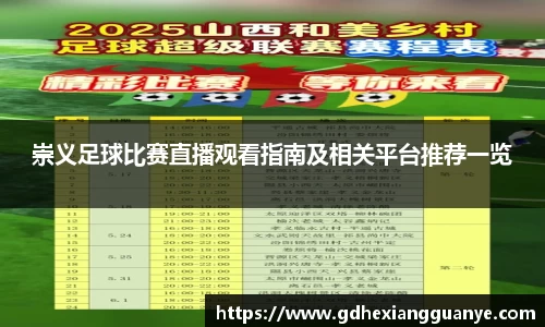风云足球