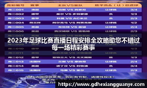 风云体育直播