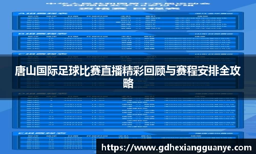 风云体育