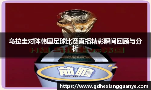 风云体育直播