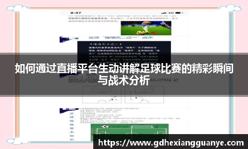 风云体育
