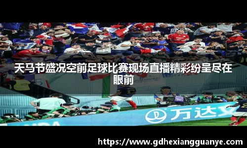 风云体育直播