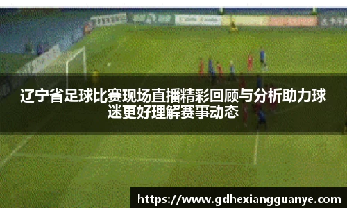 辽宁省足球比赛现场直播精彩回顾与分析助力球迷更好理解赛事动态