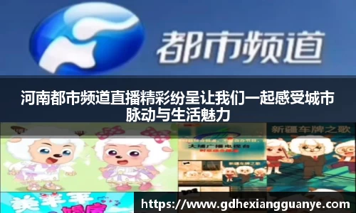 河南都市频道直播精彩纷呈让我们一起感受城市脉动与生活魅力