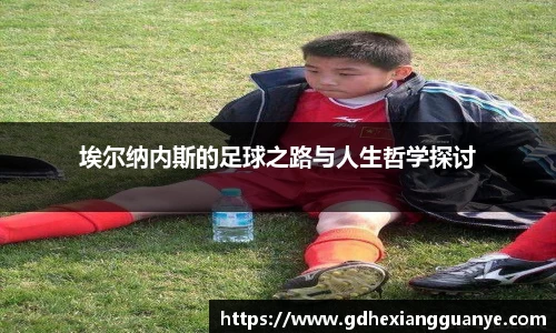 风云体育