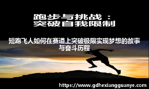 风云体育