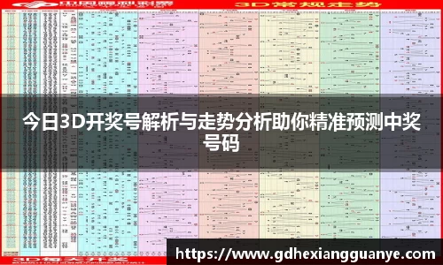 风云体育