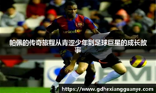 风云体育直播
