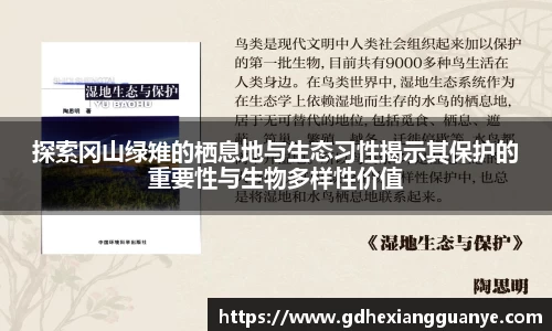 风云体育直播