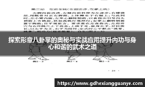 风云体育