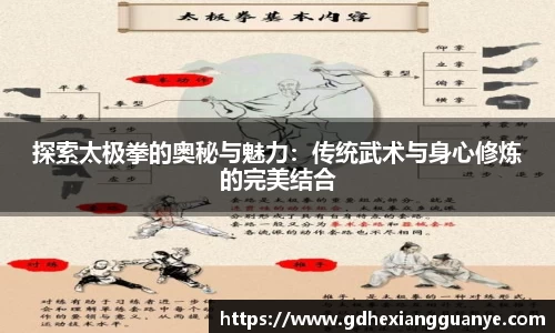 风云体育